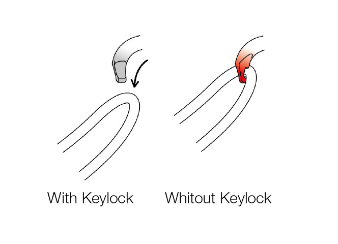 Petzl carabiners, Keylock system.