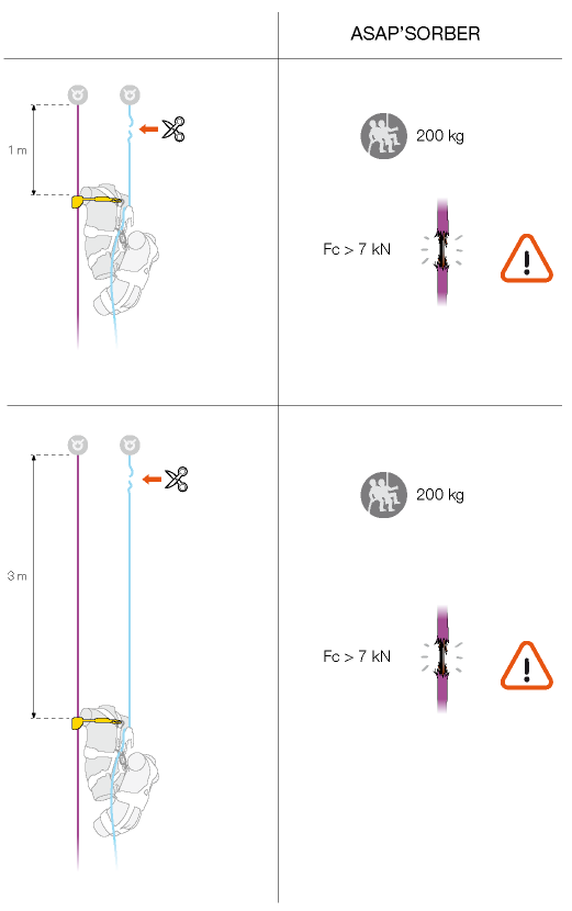 Study of the potential for absorption.