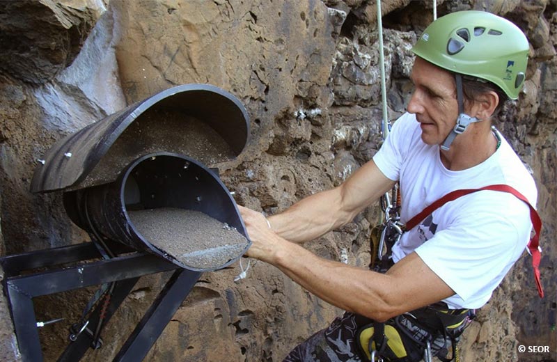 nichoirspailleenqueueileReunion