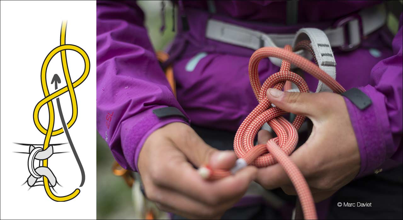 The main knots used in rock climbing and mountaineering