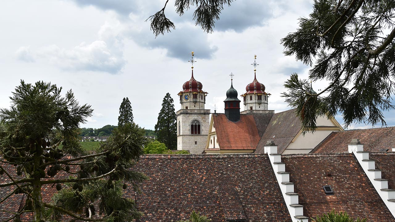 Treecare Rheinau - Kloster Rheinau