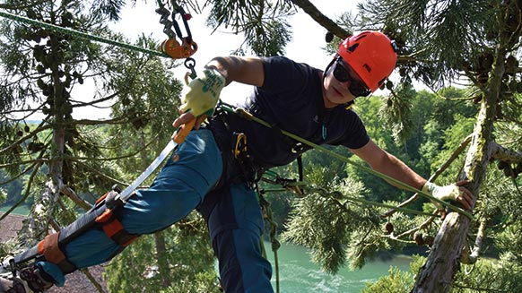 Petzl ZIGZAG descender for arborists doing tree work 2019 D022AA00 