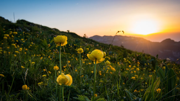 Hiking by headlamp at dawn