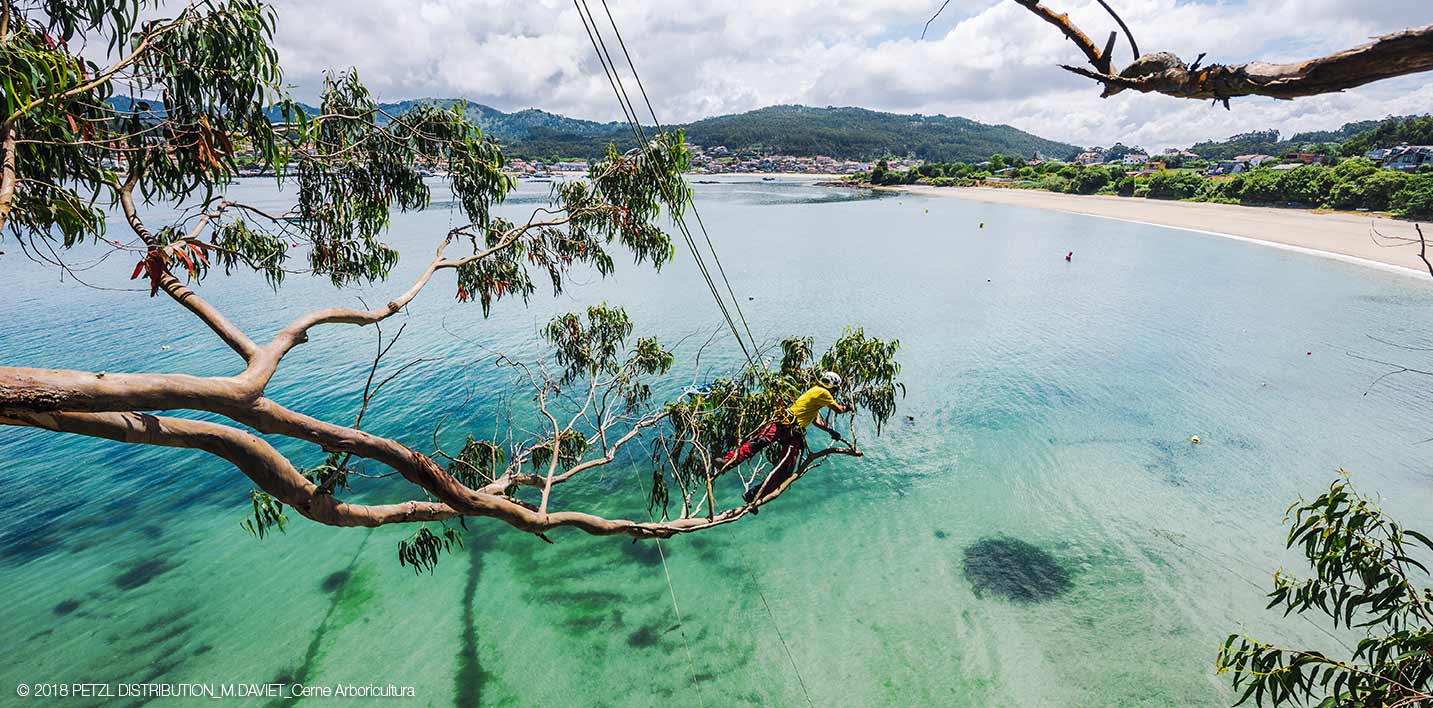 © 2018 PETZL DISTRIBUTION_M.DAVIET_Cerne Arboricultura