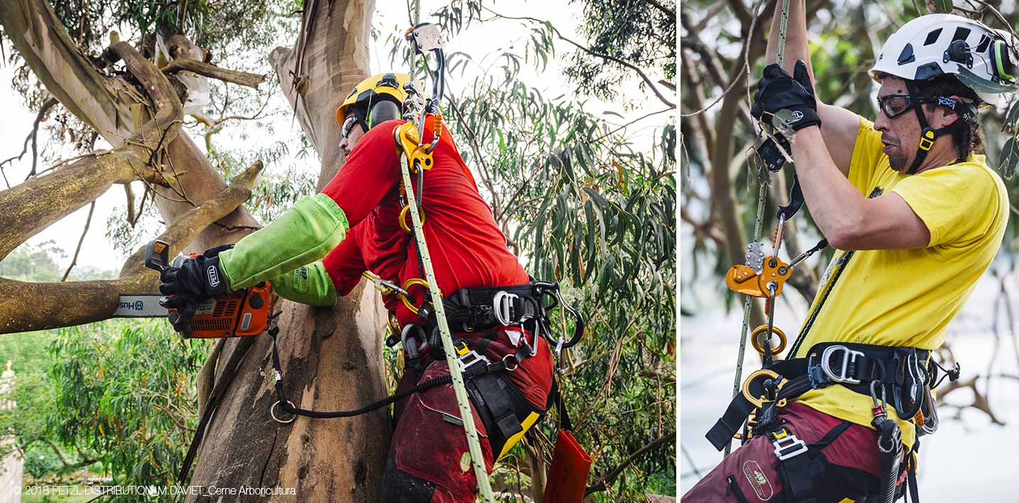 News - Petzl Los diferentes accesorios de los cascos para poda - Petzl Other