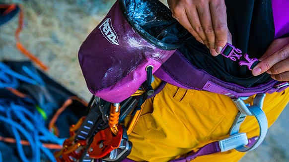 How to Choose the Right Harness