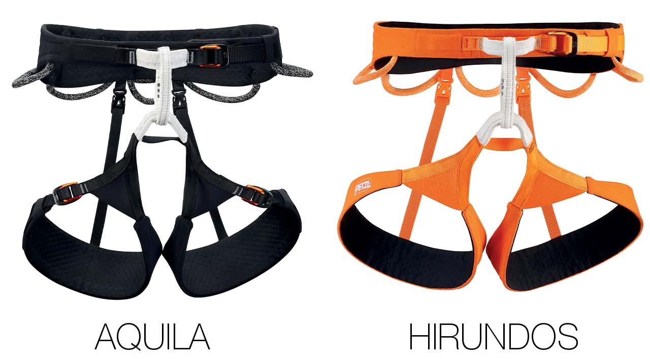 AQUILA & HIRUNDOS