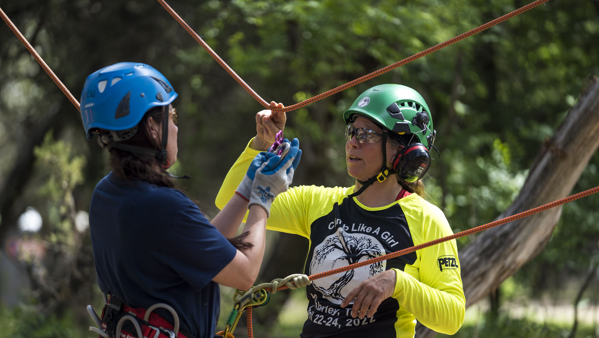 Women's Tree Climbing Workshop