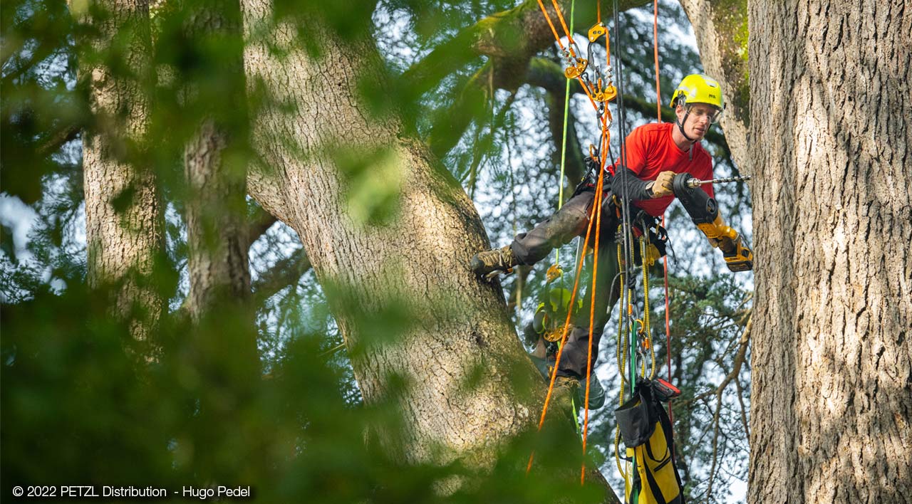 © PETZL Distribution - Hugo Pedel  