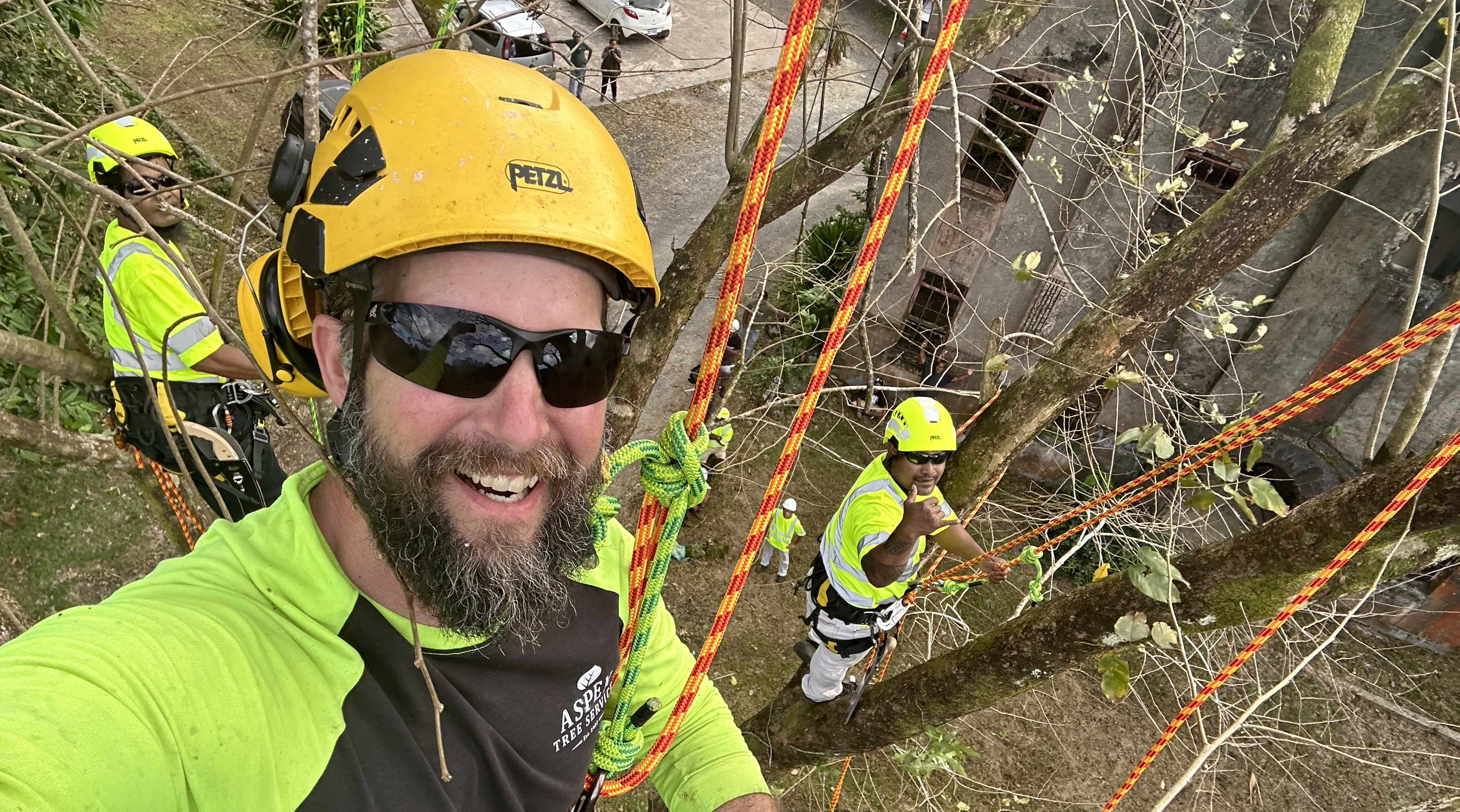 Part ONE: Tree Care in Micronesia