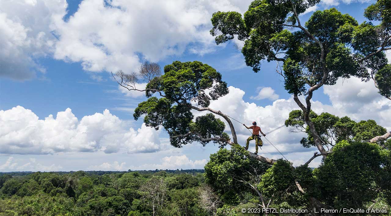 2023 © PETZL Distribution - L. Pierron / EnQuête d'Arbres 