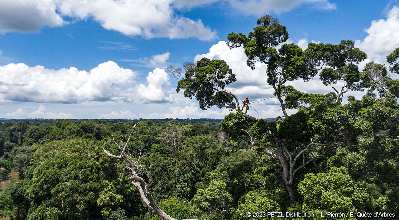 2023 © PETZL Distribution - L. Pierron / EnQuête d'Arbres 