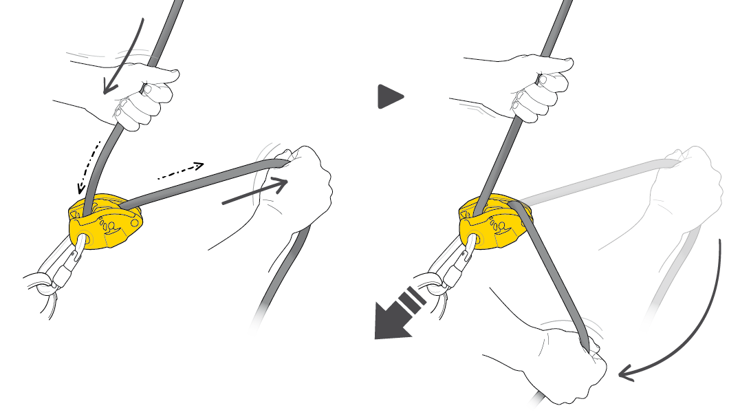 NEOX, ideal for lead belaying