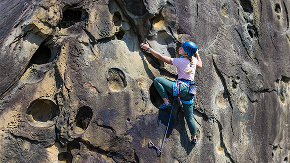 Petzl Corax - Climbing Harness | Buy Online