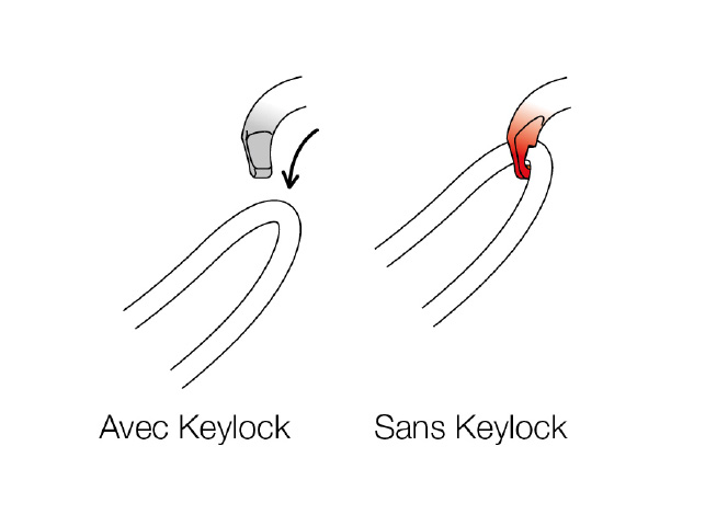 Mousquetons Petzl, Système Keylock.