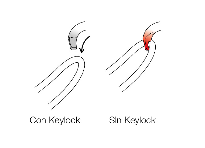 Mosquetones Petzl, sistema Keylock.