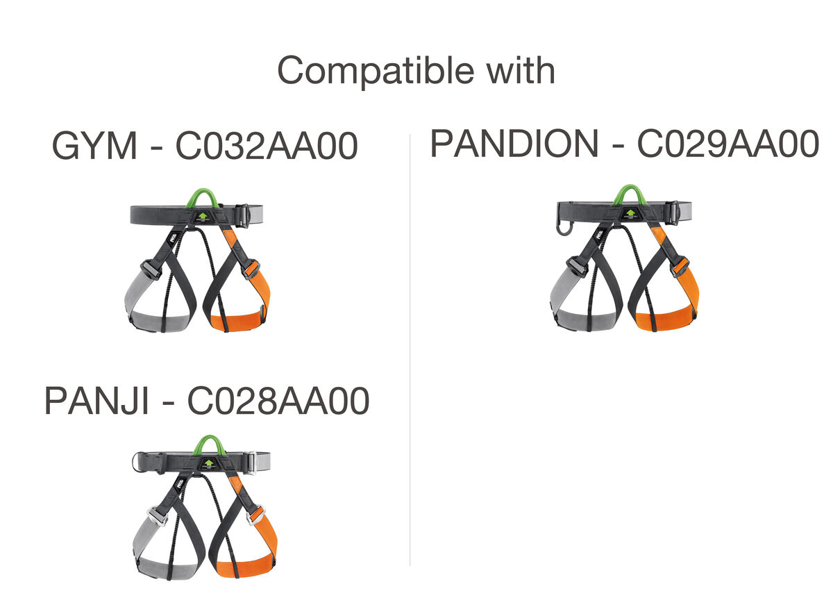 Élastique GYM, PANDION, GYM