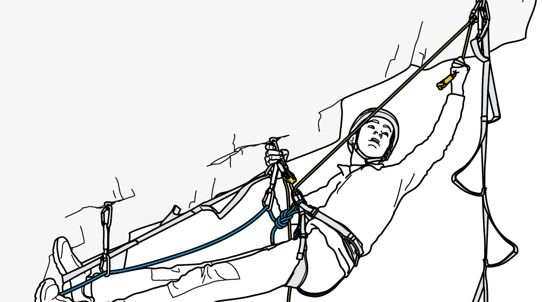 /sfc/servlet.shepherd/version/download/068Tx00000ObUqvIAF