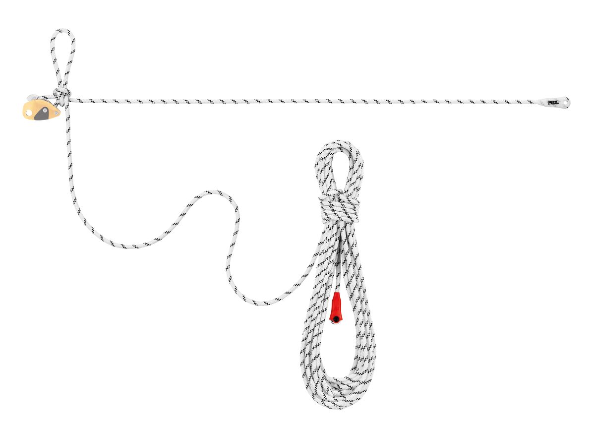 GRILLON ligne de vie