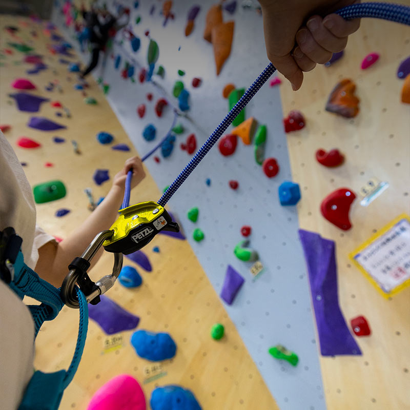 Learn How to Belay with the GRIGRI +
