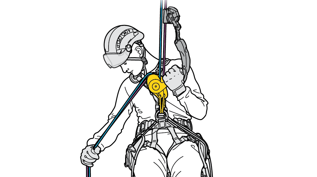 /sfc/servlet.shepherd/version/download/068bK00000nDSK7QAO