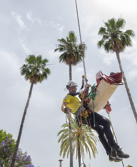 El Rescue Great Day 2022 en cifras