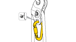 /sfc/servlet.shepherd/version/download/068w0000001Oz4aAAC