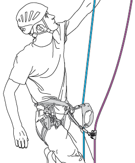 Primary system: one ascender on the belay rope. Secondary system: one ascender on the backup rope.