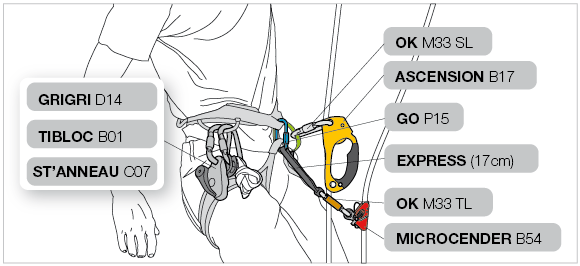 Installation on the harness with two ascenders 