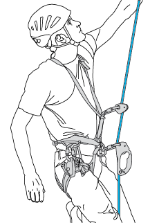 Primary system: one ascender on the belay rope. Secondary system: a second ascender on the same rope.