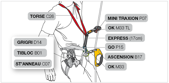 Installation on the harness and TORSE with two ascenders 