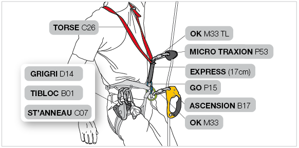 Installation on the harness and TORSE with two ascenders 