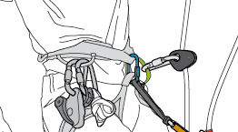 Setting up a self-belay system on two ropes with two ascenders