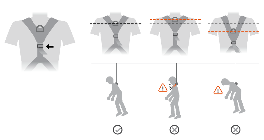 El punto de enganche dorsal se debe encontrar entre los omóplatos.