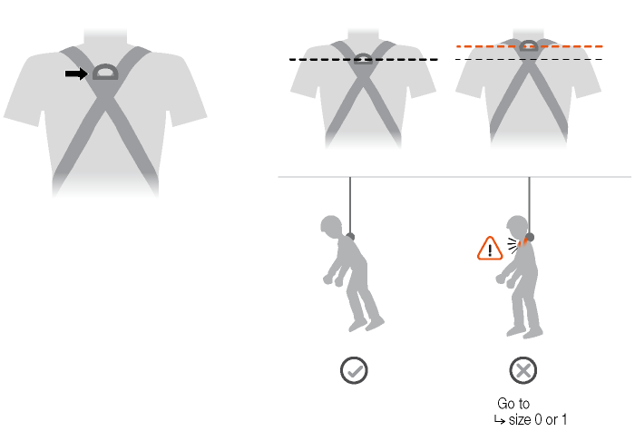 El punto de enganche dorsal se debe encontrar entre los omóplatos.