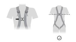 How to properly adjust your NEWTON harness?