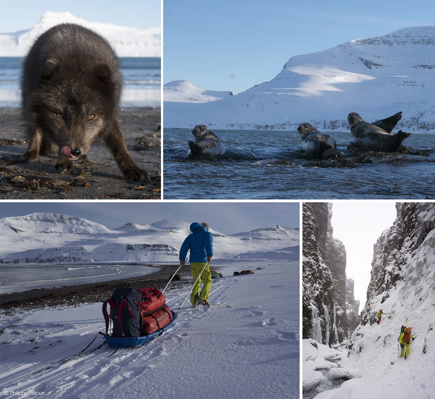 © Philippa Batoux - Northern Ice, dans le sillage de Maewan