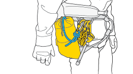 Preparazione del RAD SYSTEM in base alla situazione prevista