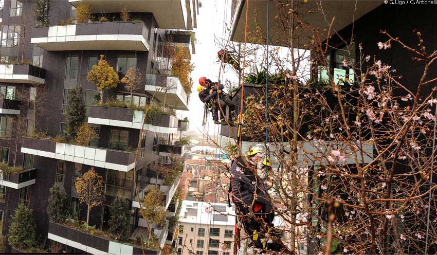 bosco-verticale-milano-1