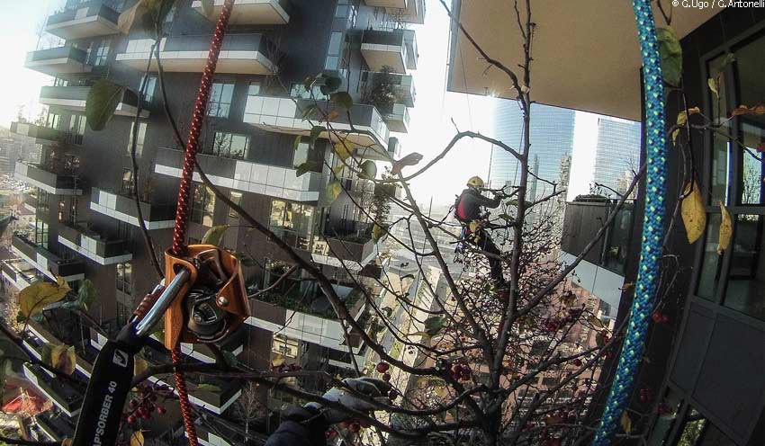 bosco-verticale-milano-5