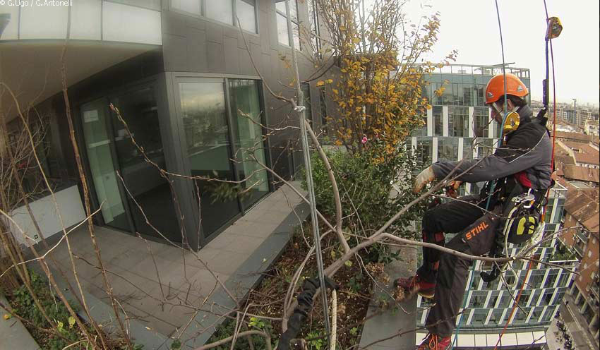 bosco-verticale-milano-6