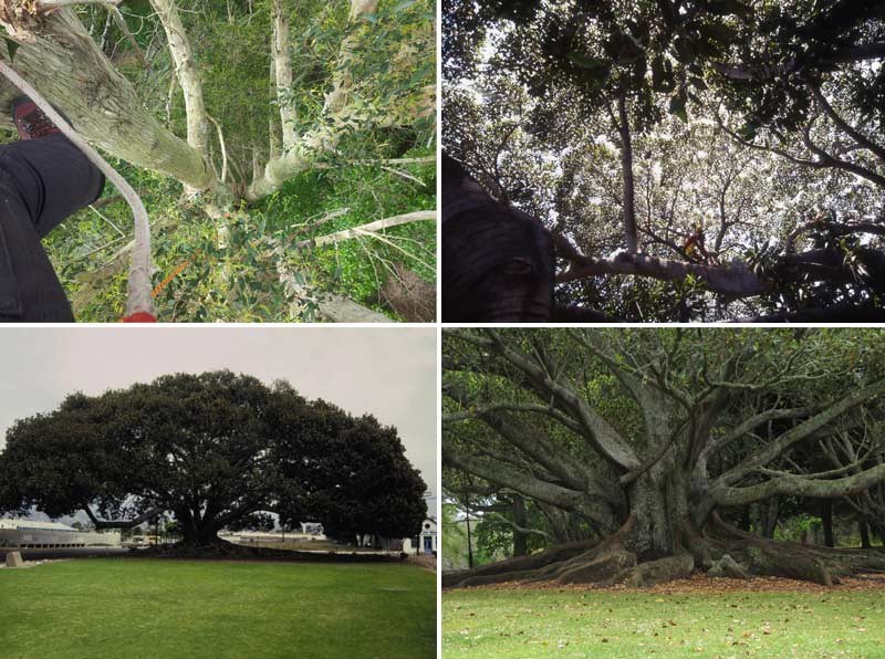 @ SUPERALBERI