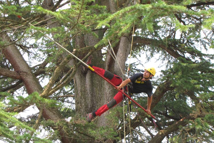 @ SUPERALBERI