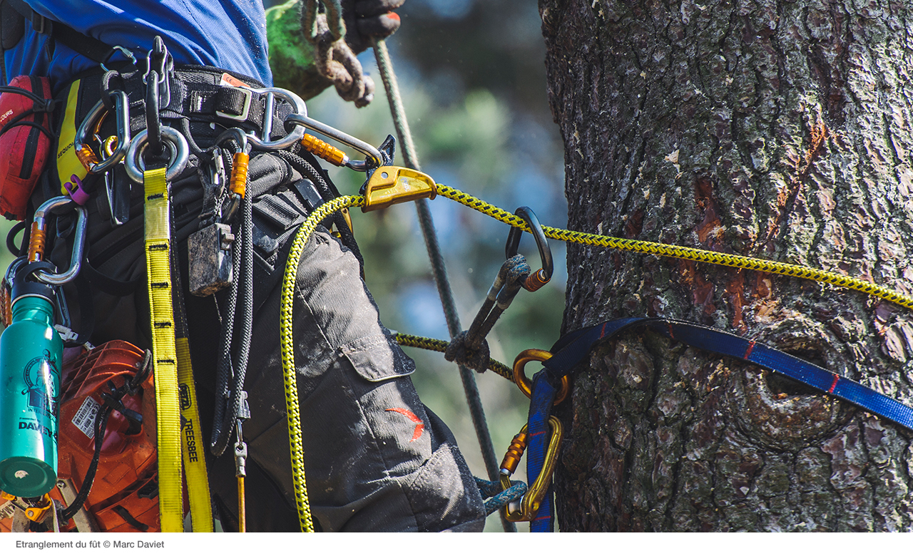 Details about   Prusik Loop Cord Eye-to-eye 22kN For Arborist Climbing Rigging Tree Working 