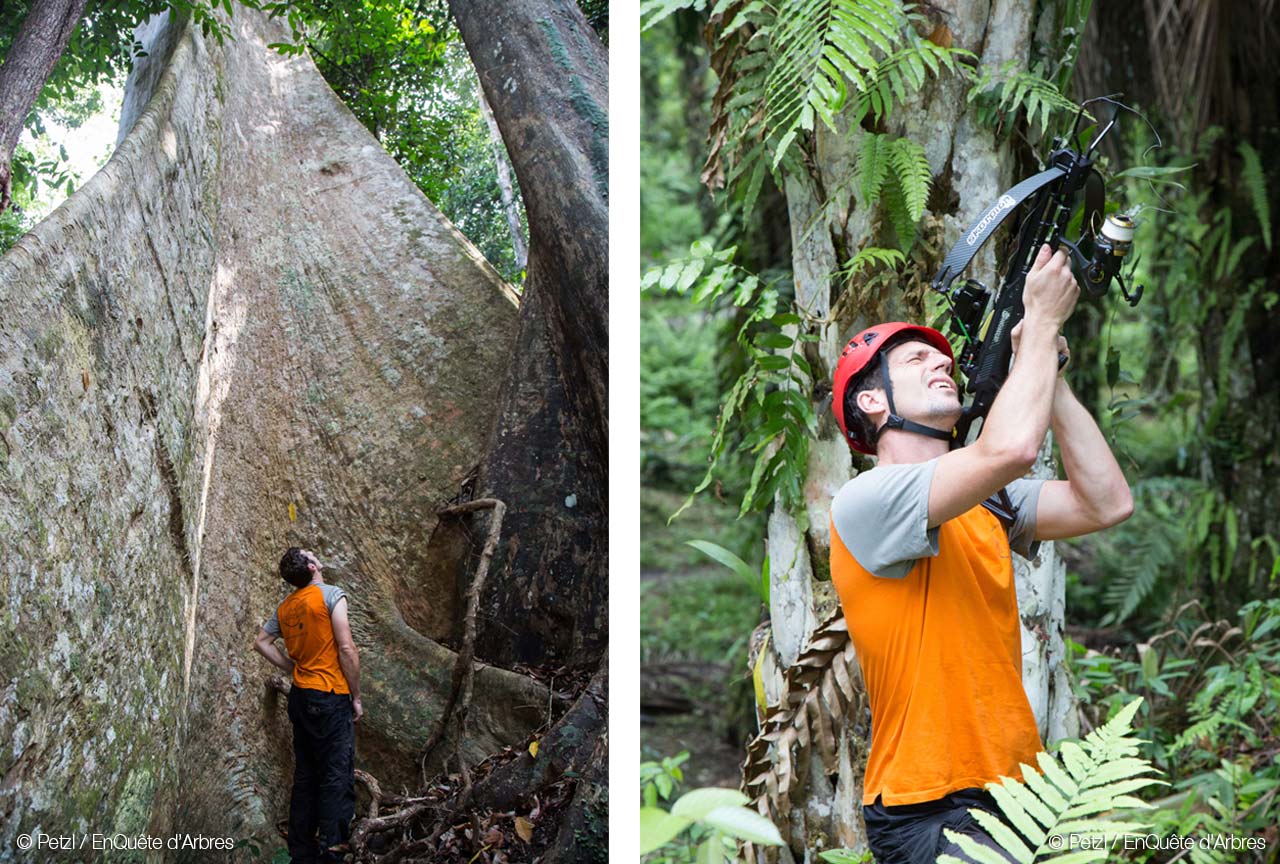 Petzl © EnQuête d'Arbres