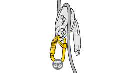 Choice of carabiner for attaching a descender with a safety gate (I’D S, RIG, STOP...) to the harness