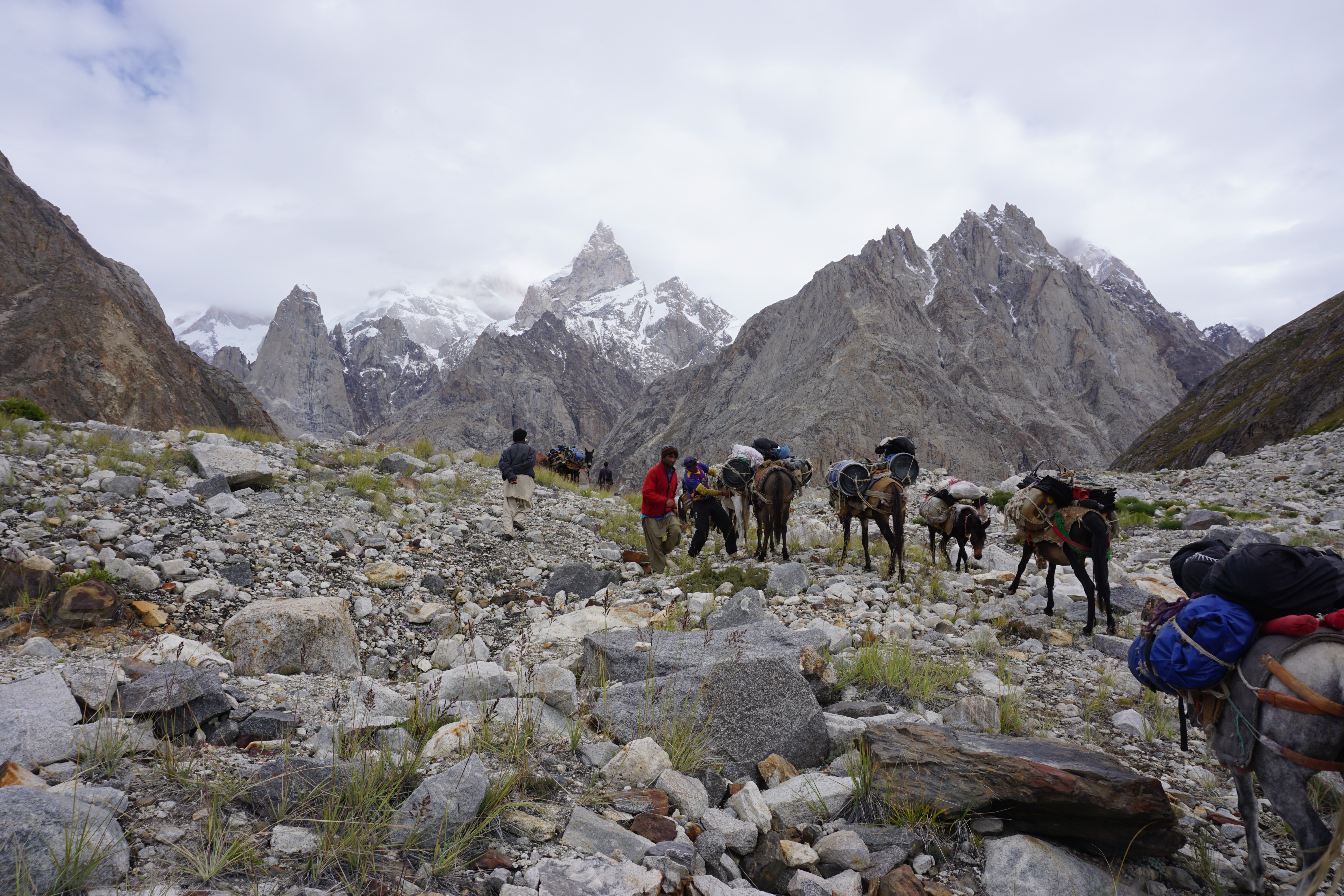 Xari Mayr, Expedition, Pakistan, Ogre III, Gipfel, Ankunft